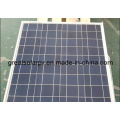 Gran competitivo en el mercado de Oriente Medio! 60watt Poly Solar Panel Module